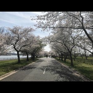 Meet your Posher, Leanne